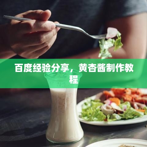 百度经验分享，黄杏酱制作教程