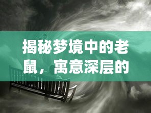 揭秘梦境中的老鼠，寓意深层的梦境解析，百度带你探索梦境奥秘！