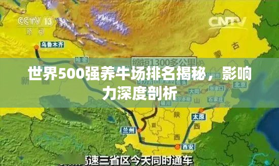 世界500强养牛场排名揭秘，影响力深度剖析