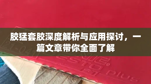 胶猛套胶深度解析与应用探讨，一篇文章带你全面了解