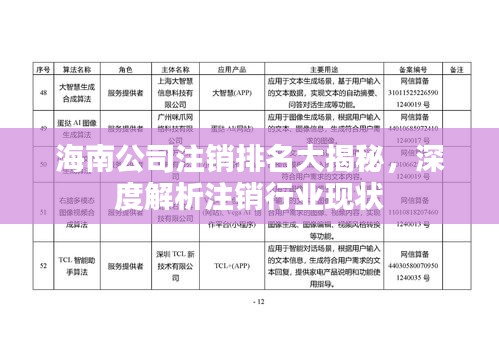 海南公司注销排名大揭秘，深度解析注销行业现状