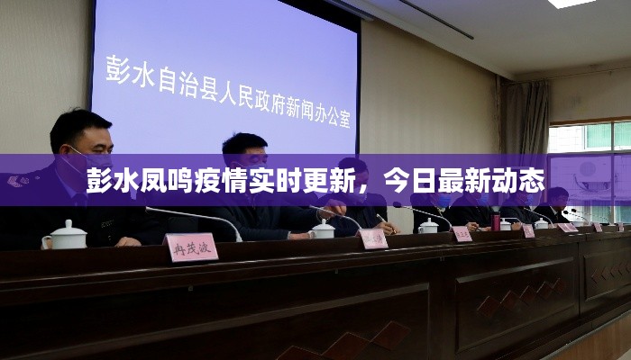 彭水凤鸣疫情实时更新，今日最新动态
