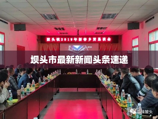 坝头市最新新闻头条速递
