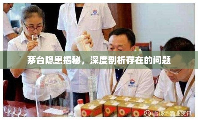 茅台隐患揭秘，深度剖析存在的问题
