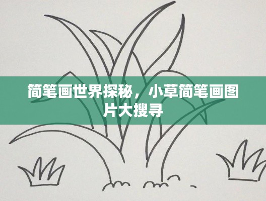 简笔画世界探秘，小草简笔画图片大搜寻