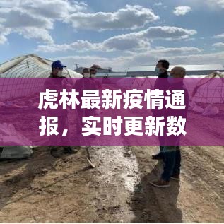虎林最新疫情通报，实时更新数据！