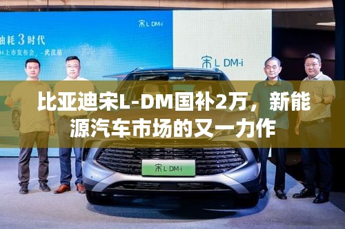 比亚迪宋L-DM国补2万，新能源汽车市场的又一力作