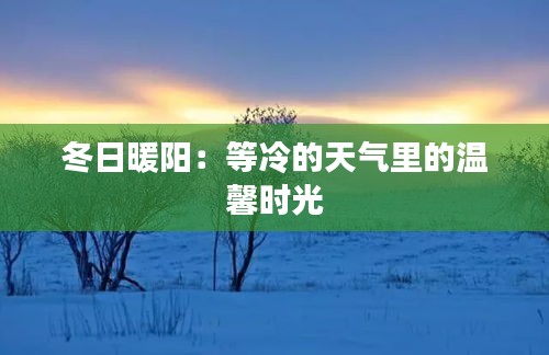 冬日暖阳：等冷的天气里的温馨时光