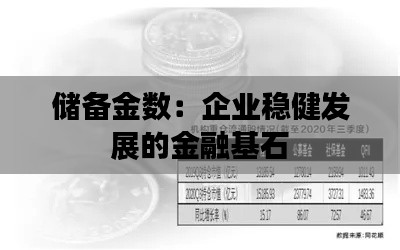 储备金数：企业稳健发展的金融基石