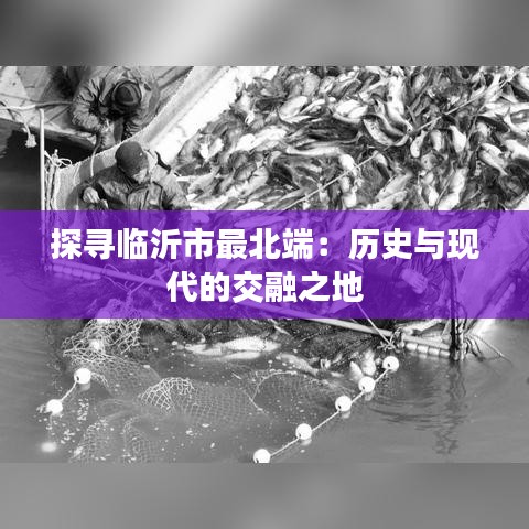 探寻临沂市最北端：历史与现代的交融之地