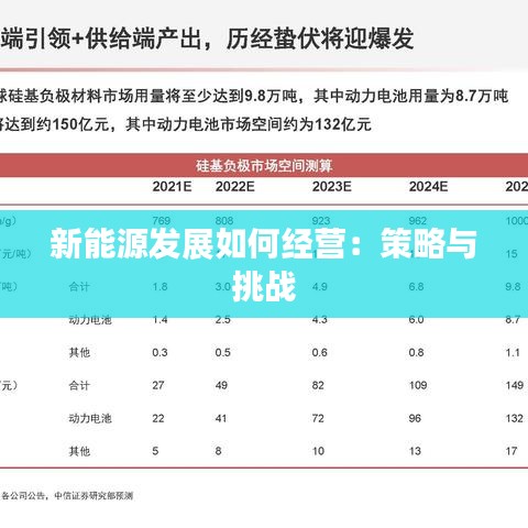 新能源发展如何经营：策略与挑战