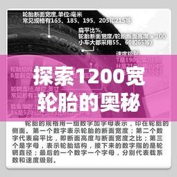 探索1200宽轮胎的奥秘：性能、适用性与未来趋势