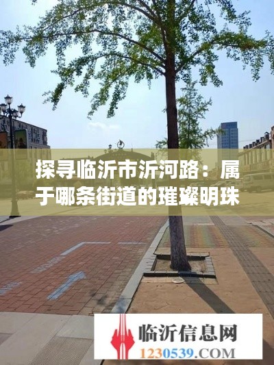 探寻临沂市沂河路：属于哪条街道的璀璨明珠