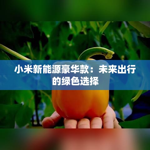 小米新能源豪华款：未来出行的绿色选择