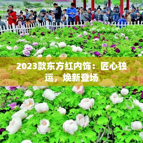 2023款东方红内饰：匠心独运，焕新登场