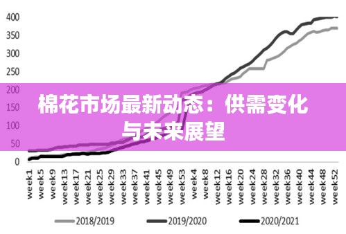 棉花市场最新动态：供需变化与未来展望