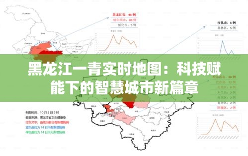 黑龙江一青实时地图：科技赋能下的智慧城市新篇章