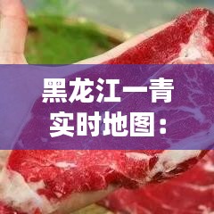 黑龙江一青实时地图：科技助力城市智慧管理