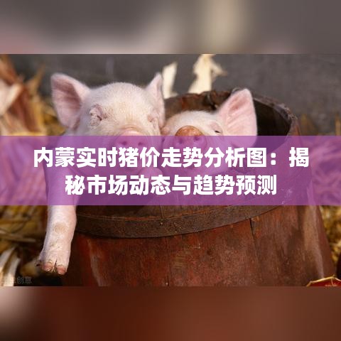 内蒙实时猪价走势分析图：揭秘市场动态与趋势预测