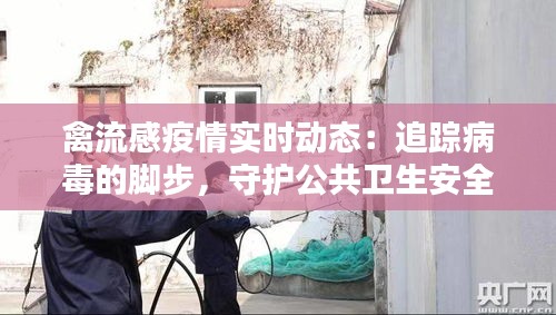 禽流感疫情实时动态：追踪病毒的脚步，守护公共卫生安全