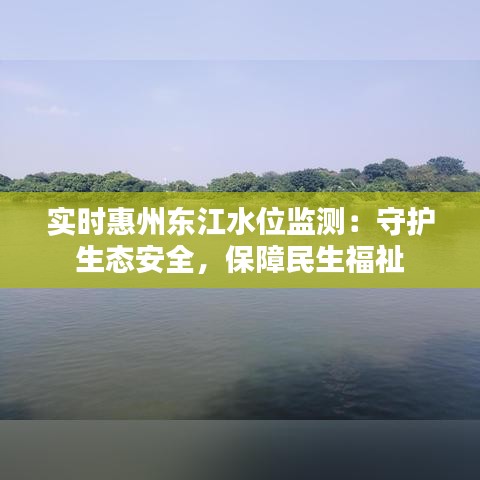 实时惠州东江水位监测：守护生态安全，保障民生福祉