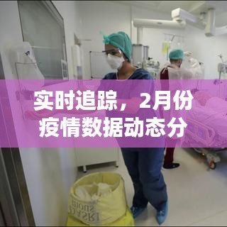 实时追踪，2月份疫情数据动态分析