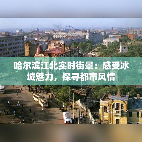 哈尔滨江北实时街景：感受冰城魅力，探寻都市风情