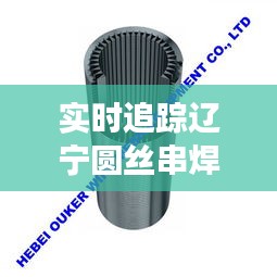 实时追踪辽宁圆丝串焊机价格：市场动态与选购指南