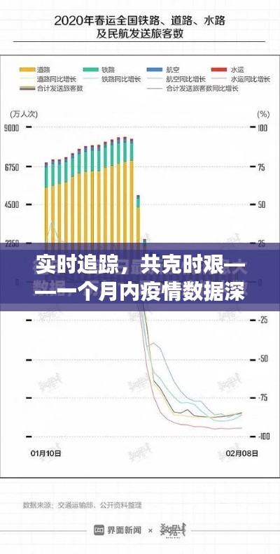 实时追踪，共克时艰——一个月内疫情数据深度分析