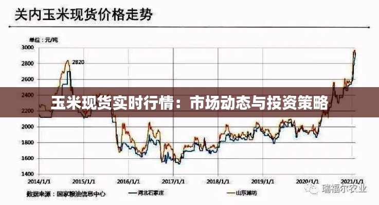 玉米现货实时行情：市场动态与投资策略