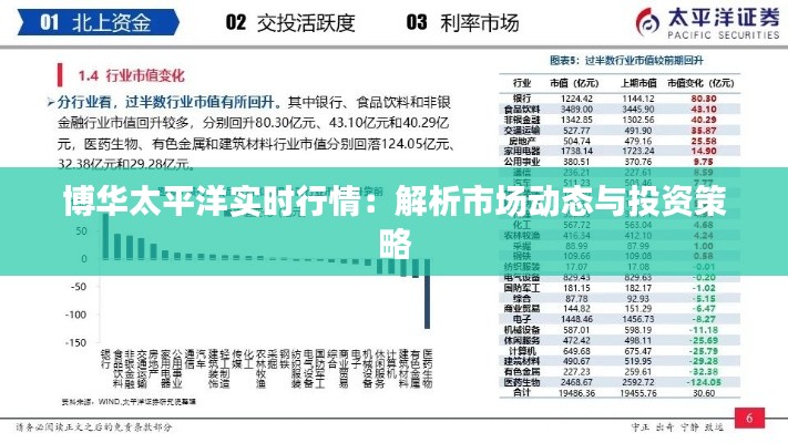 博华太平洋实时行情：解析市场动态与投资策略