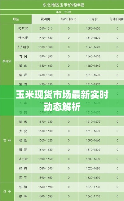 玉米现货市场最新实时动态解析