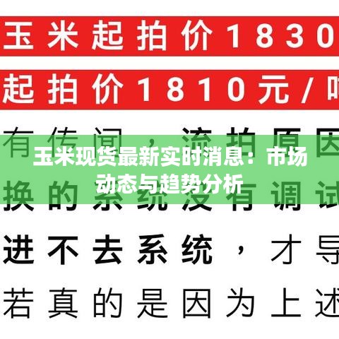 玉米现货最新实时消息：市场动态与趋势分析