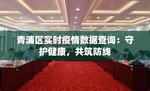 青浦区实时疫情数据查询：守护健康，共筑防线