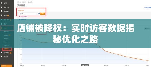 店铺被降权：实时访客数据揭秘优化之路