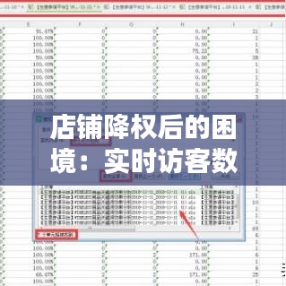 店铺降权后的困境：实时访客数据如何影响我们的应对策略