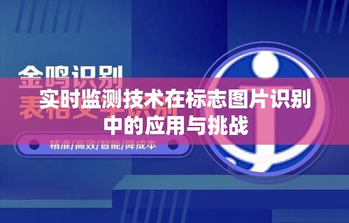 实时监测技术在标志图片识别中的应用与挑战