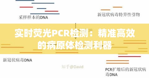 实时荧光PCR检测：精准高效的病原体检测利器