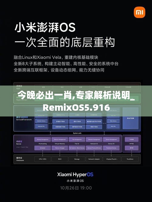 今晚必出一肖,专家解析说明_RemixOS5.916