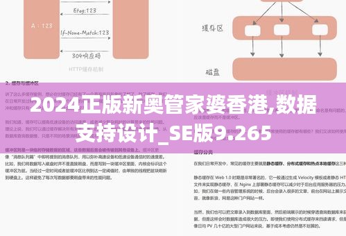 2024正版新奥管家婆香港,数据支持设计_SE版9.265