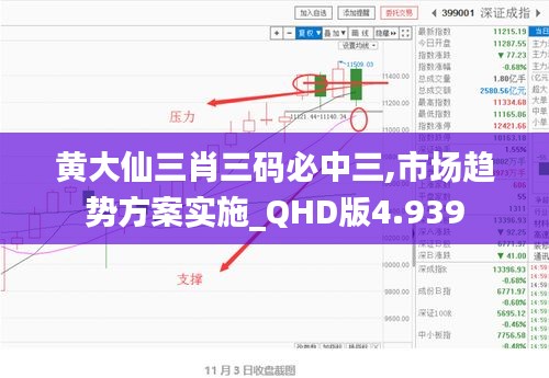 黄大仙三肖三码必中三,市场趋势方案实施_QHD版4.939