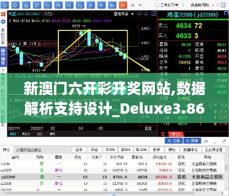 新澳门六开彩开奖网站,数据解析支持设计_Deluxe3.866