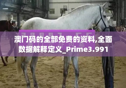 澳门码的全部免费的资料,全面数据解释定义_Prime3.991