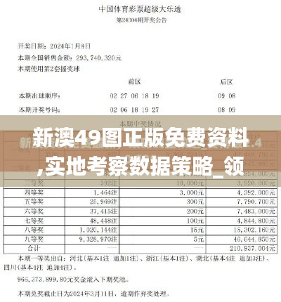 新澳49图正版免费资料,实地考察数据策略_领航版4.350