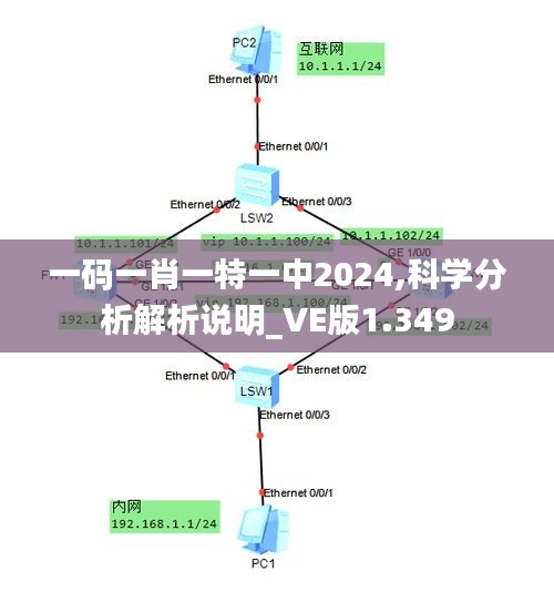 一码一肖一特一中2024,科学分析解析说明_VE版1.349