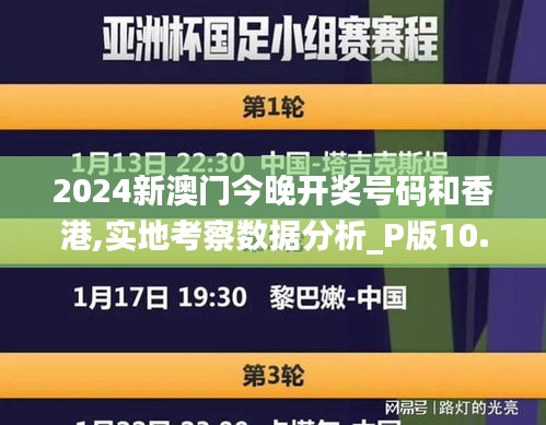 2024新澳门今晚开奖号码和香港,实地考察数据分析_P版10.317