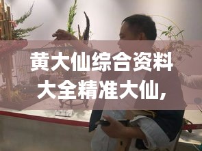 黄大仙综合资料大全精准大仙,快速响应策略解析_桌面款1.354