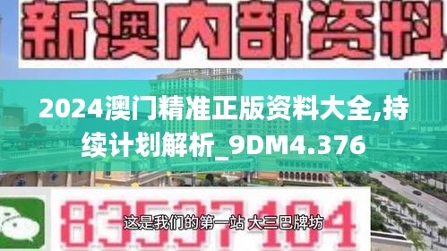 2024澳门精准正版资料大全,持续计划解析_9DM4.376