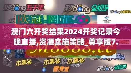 澳门六开奖结果2024开奖记录今晚直播,资源实施策略_尊享版7.429