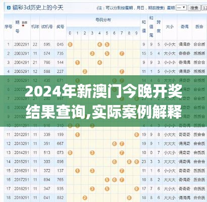 2024年新澳门今晚开奖结果查询,实际案例解释定义_C版6.418